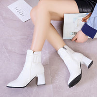 Pointed Toe Ankle Boots - Women - Lillie 