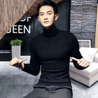 Men's Sweaters /  Turtleneck Collar Winter Knitted Male Sweaters - Lillie