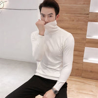 Men's Sweaters /  Turtleneck Collar Winter Knitted Male Sweaters - Lillie